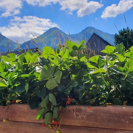 Krasvill Apartamento